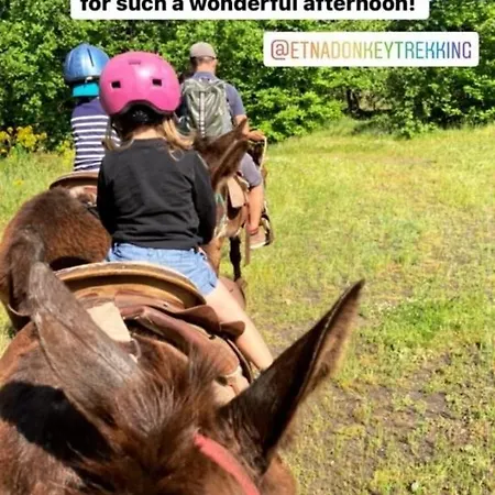 펜션 La Casa Di Sofia 피에디몬테 에트네오